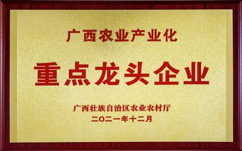 自治区农业产业化重点龙头企业