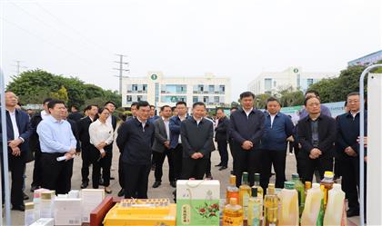 2023年全国油茶产业发展现场会在柳州隆重召开