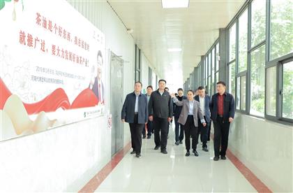山东临沂市木业专班考察组到桂之坊精深加工基地考察